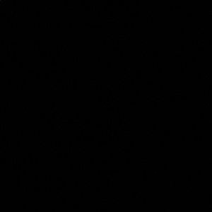 Meet your Posher, Briana